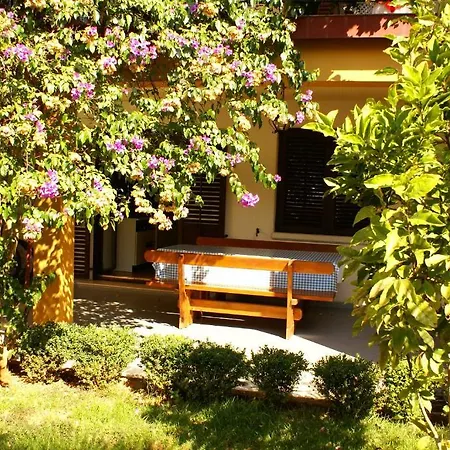 Apartament Stosic